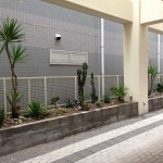 plants of 8Hotel