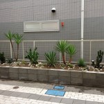 plants of 8Hotel
